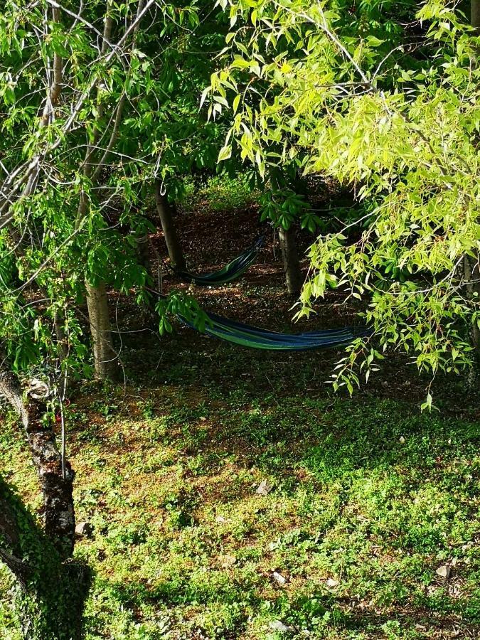 Agriturismo Il Noceto Villa Assisi Eksteriør bilde