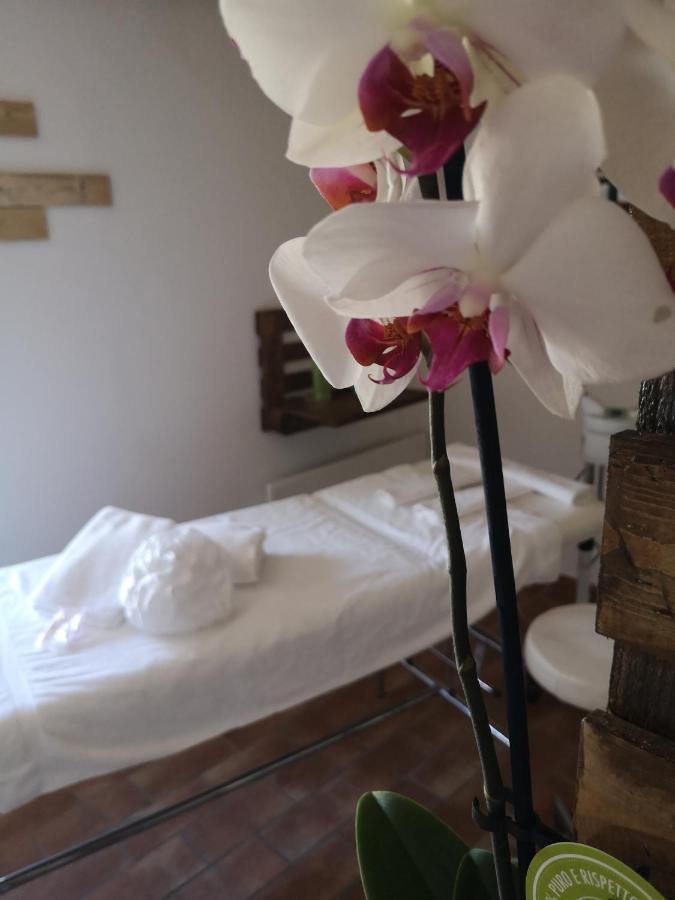 Agriturismo Il Noceto Villa Assisi Eksteriør bilde